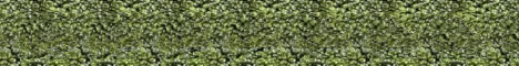 Buy Now Stereogram Explorer