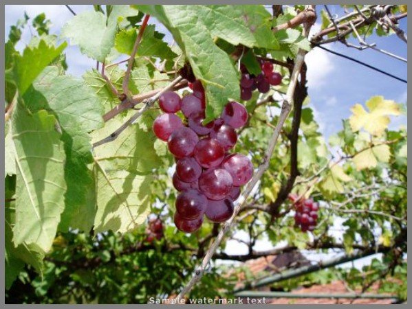 :o)