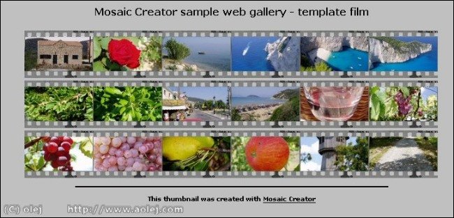 Web gallery with film template.