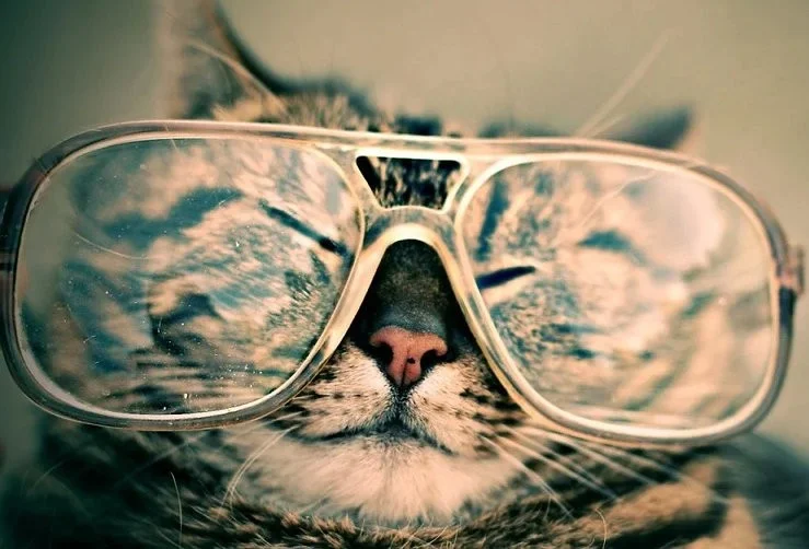 Stereogram Explorer - Perfect 3D stereogram illusion