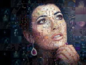Mosaic Creator - Photo mosaic with different cell size