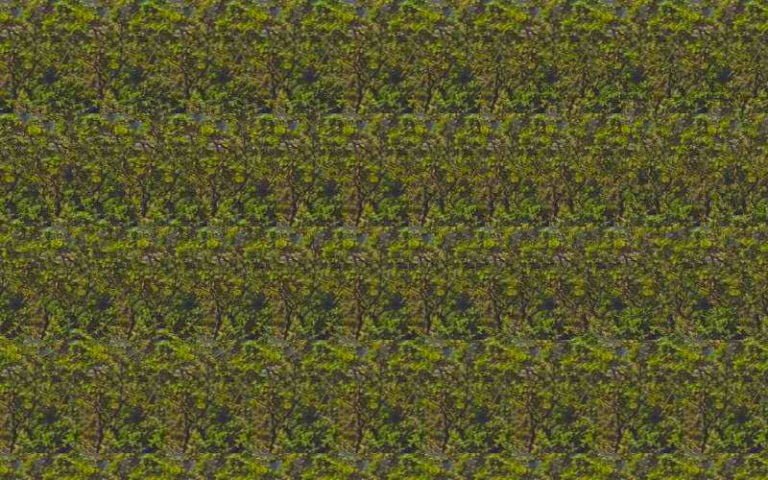 create stereogram