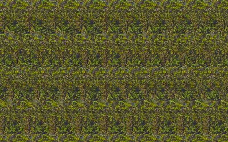 stereogram creator download stereogram creator download