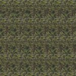 stereogram builder stereogram builder