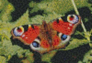 Mosaic Tile Design butterfly - Mosaic Creator