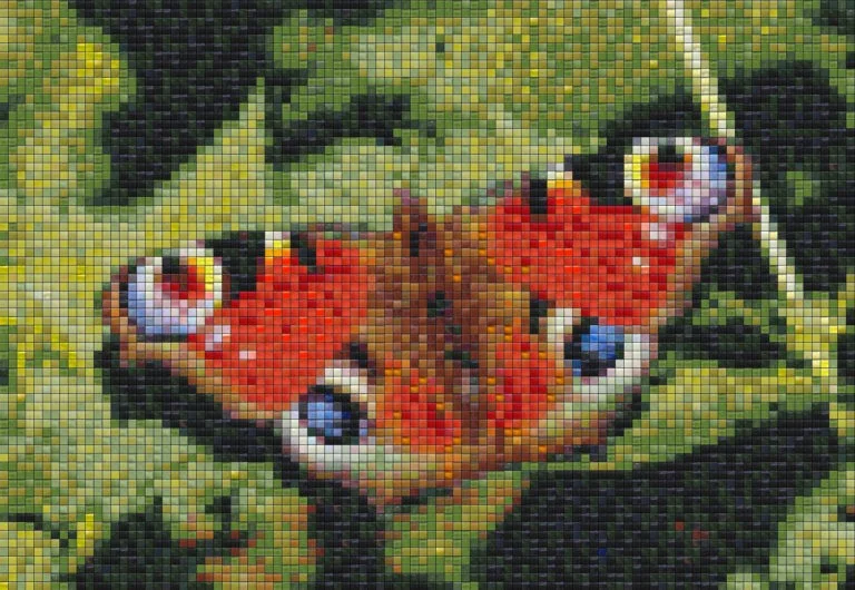 Mosaic Tile Design butterfly - Mosaic Creator