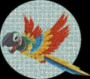 Mosaic Tile Design parrot - Mosaic Creator