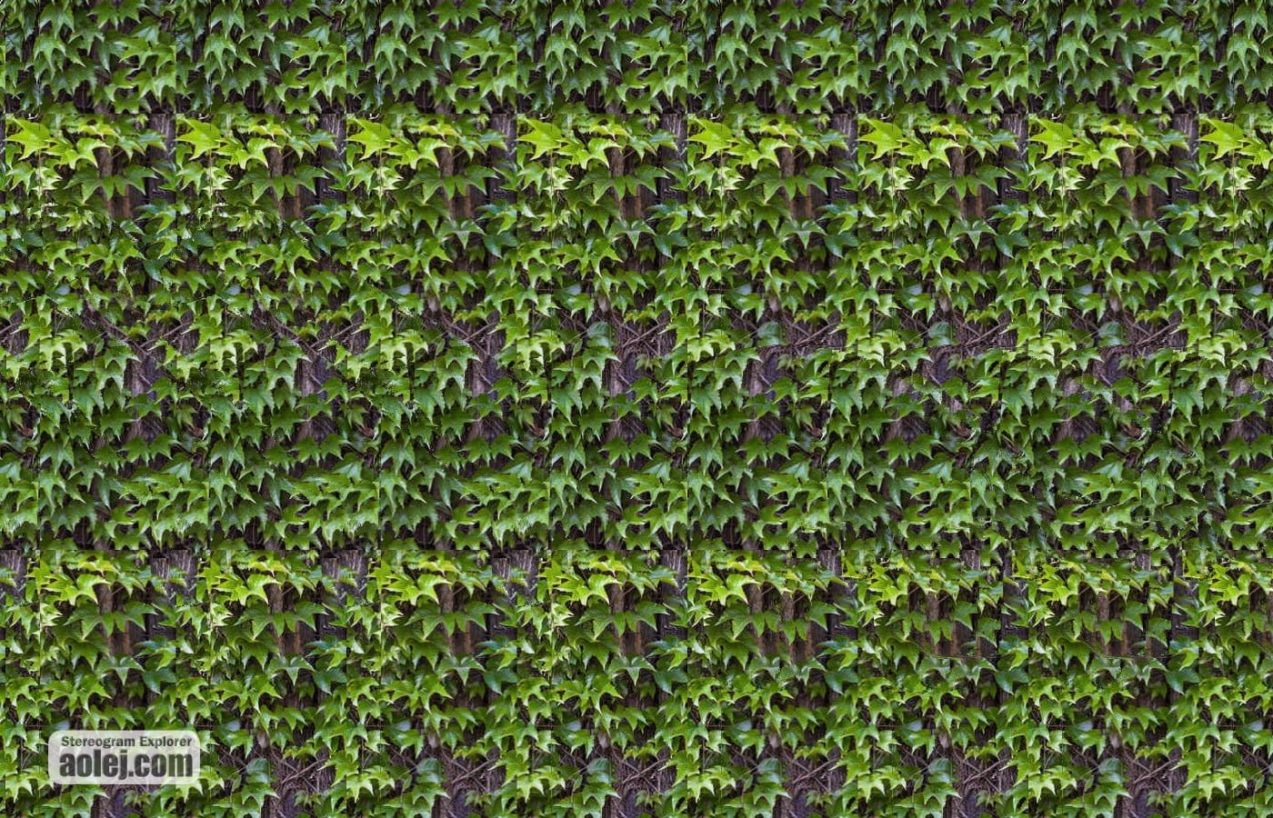 stereogram creator download stereogram creator download