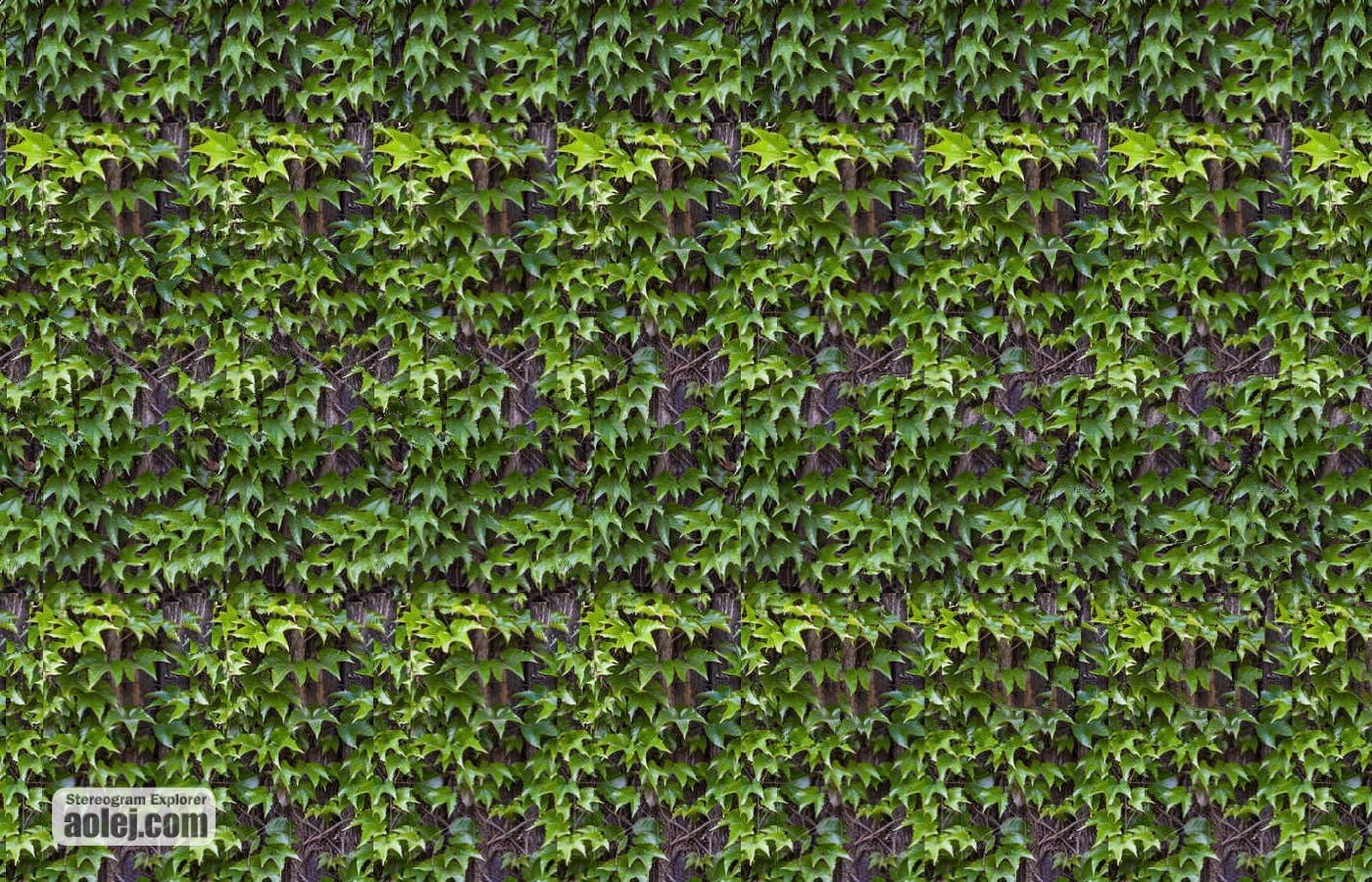 Animated Stereograms