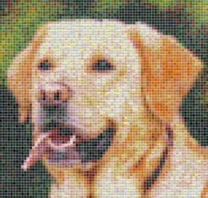 Dog tile mosaic design - Mosaic Creator