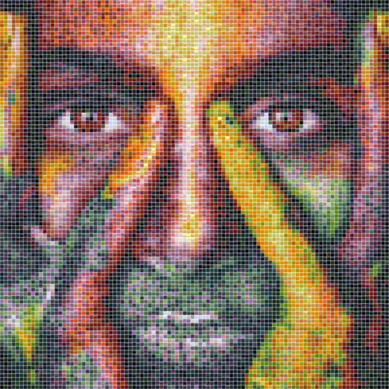 Color face tile mosaic - Mosaic Creator
