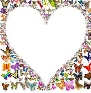 Heart butterfly collage created with Mosaic Creator