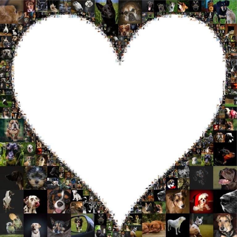 Photo mosaic collage of dogs created with Mosaic Creator