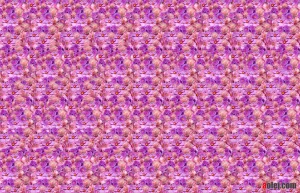 Sample stereogram created with Stereogram Explorer - www.aolej.com