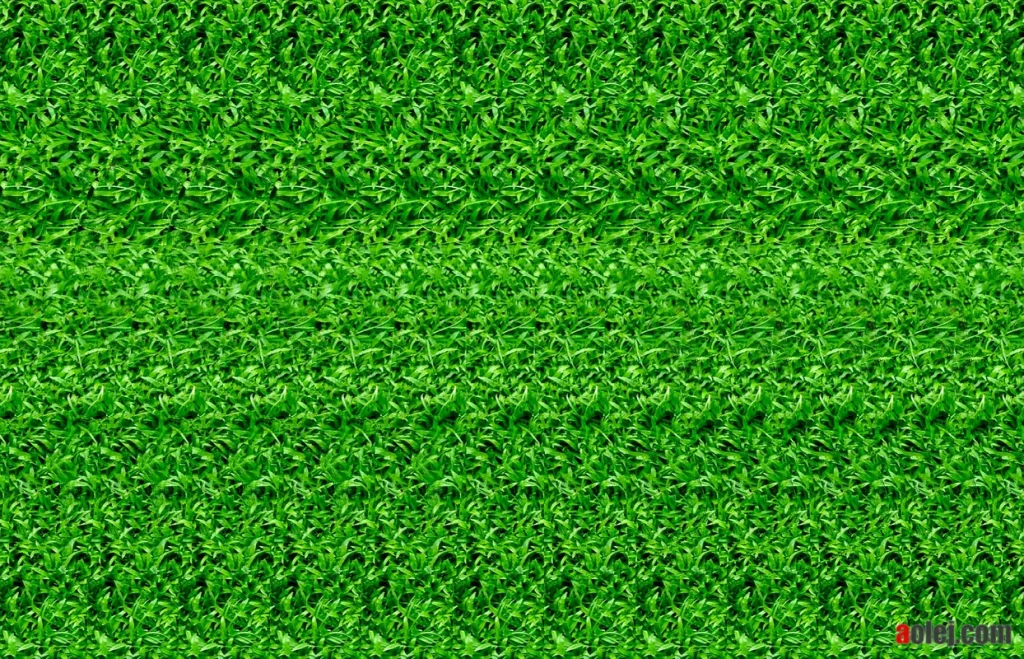Sample stereogram created with Stereogram Explorer - www.aolej.com
