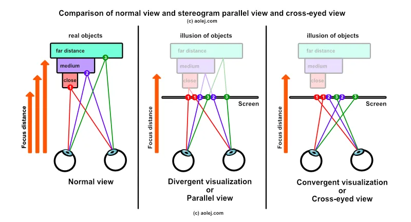 Description - how of stereogram works - parallel view or cross-eyed view