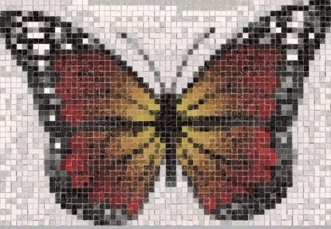 Butterfly mosaic design - Tile mosaic design - Mosaic Creator