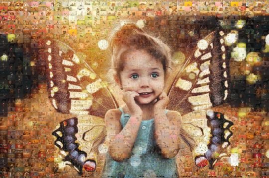 Photo mosaic of butterfly girl - Mosaic Creator